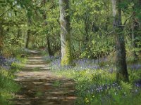 Landscapes - Sold (27)